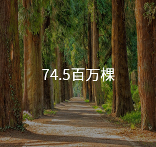 Eco_Analysis Image